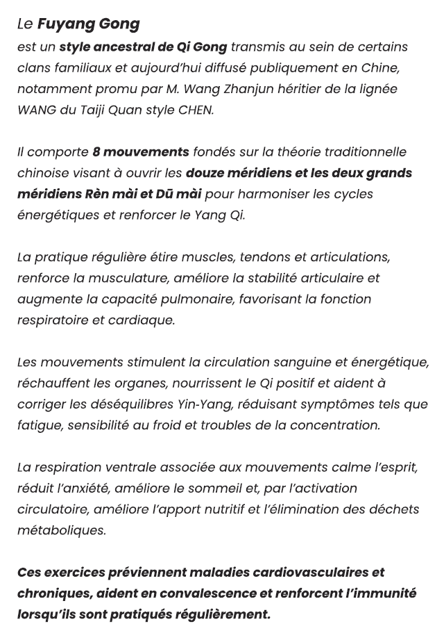 flyer fyg verso